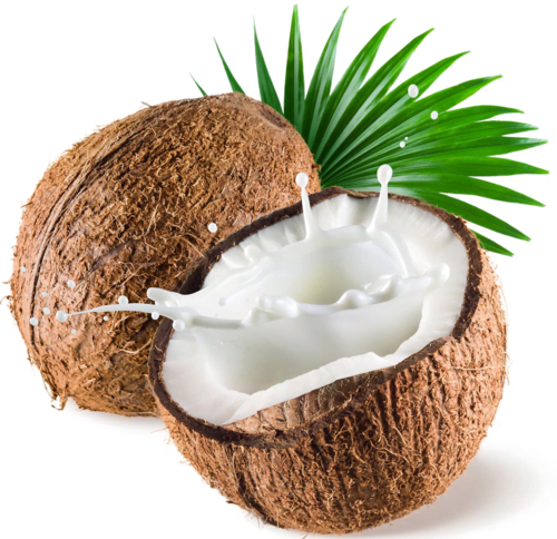Coconut