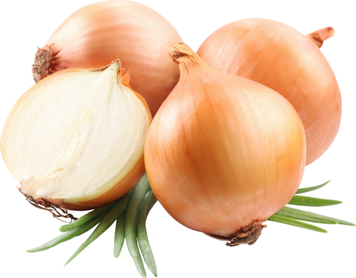 Onion