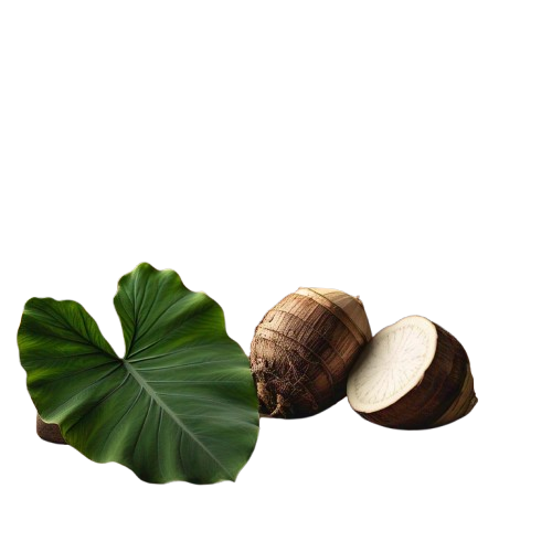 Taro